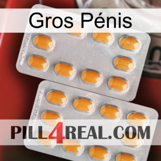 Gros Pénis cialis4